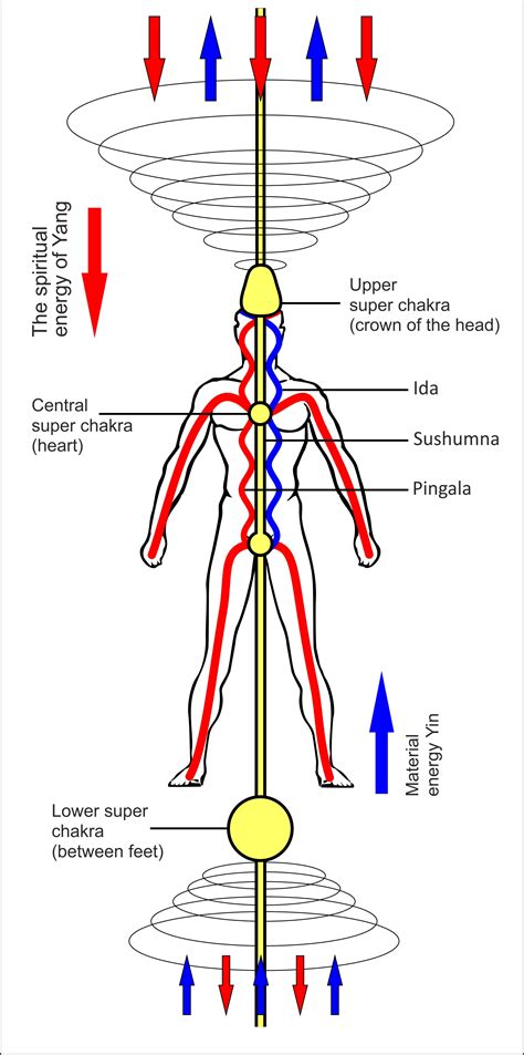 energy channels of human body.